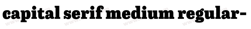 capital serif medium regular字体转换 capital serif medium regular字体转换